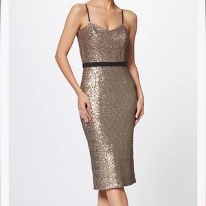 Dress the Population Women's Emma Sequin Sleeveless Fitted Midi Sheath Dress.